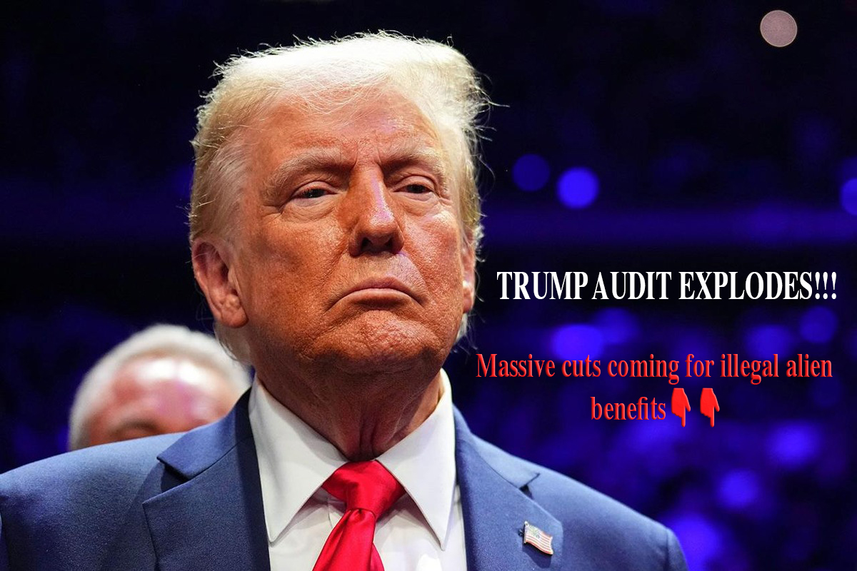 JUST IN: Trump Orders Major Audit To Block Illegals From Cashing In On Benefits