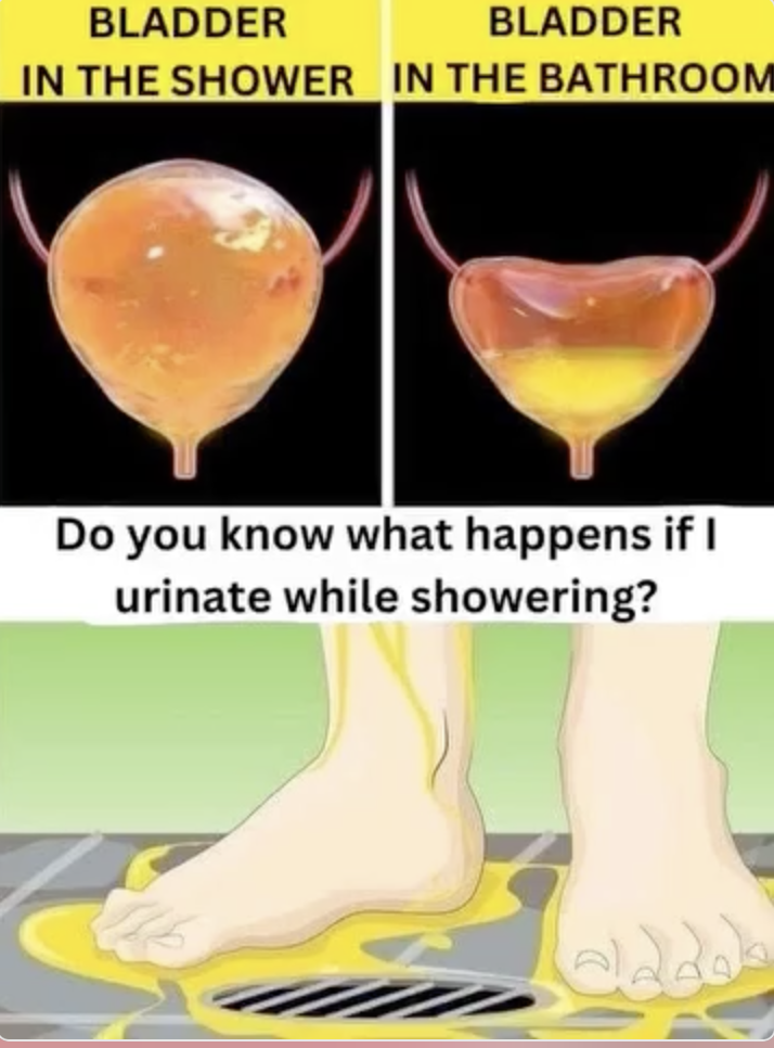 Think It’s Harmless? Here’s Why You Should Stop Peeing in the Shower