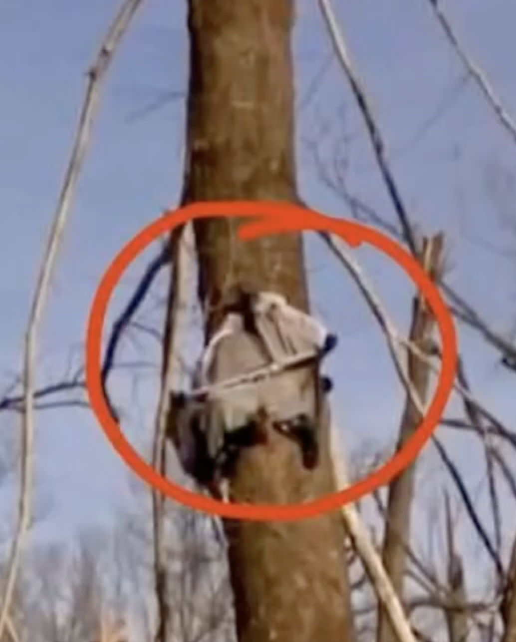 How a Tennessee Family Found Strength and Support After a Devastating Storm