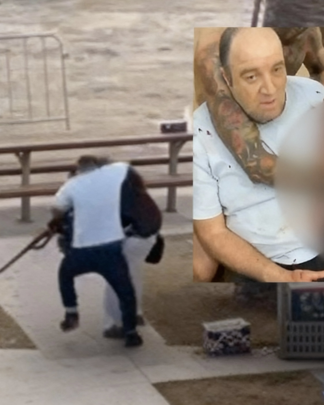 Bondi Beach Hero Identified as Local Fruit Shop Owner