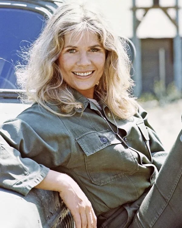 Remembering a Television Legend: The Beloved Star Millions Will Never Forget